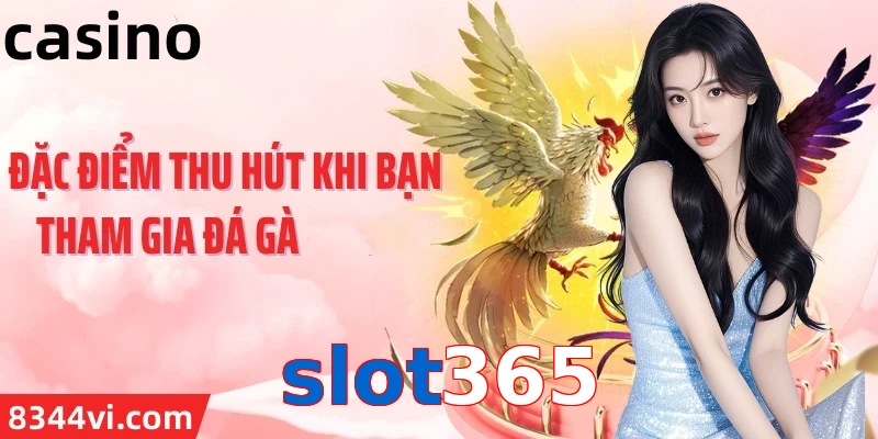 slot365